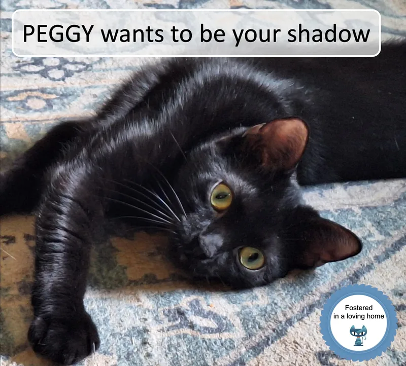 Peggy thumbnail 2