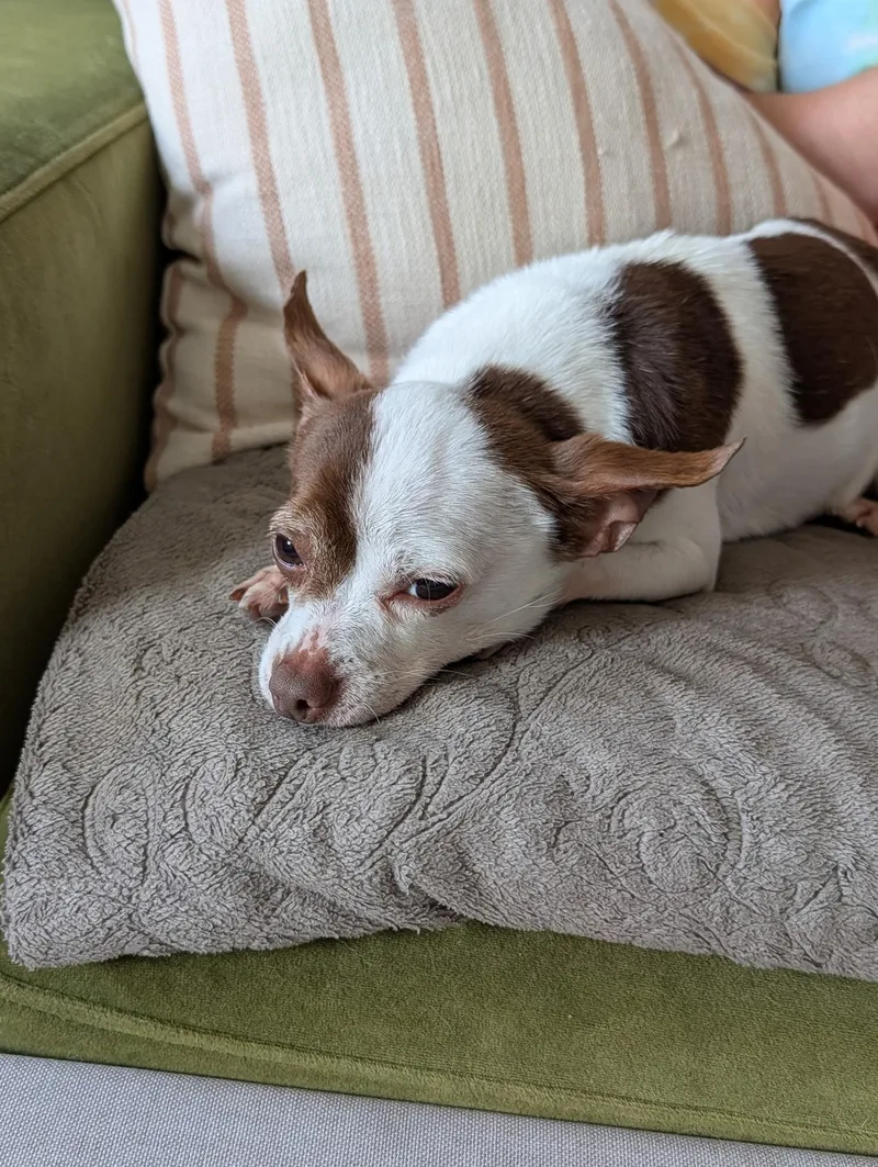 Coco