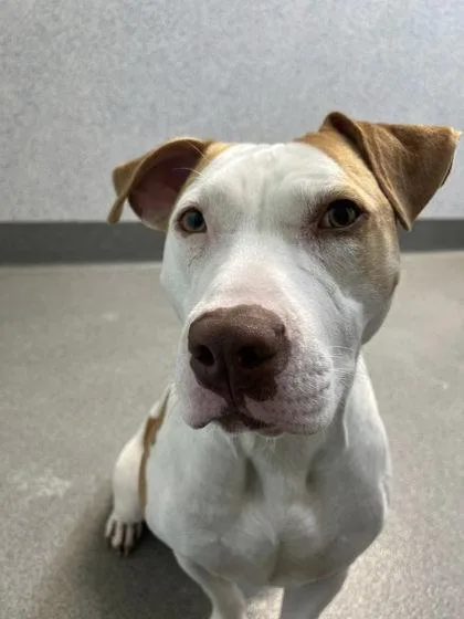 Mr. Ricky thumbnail 3