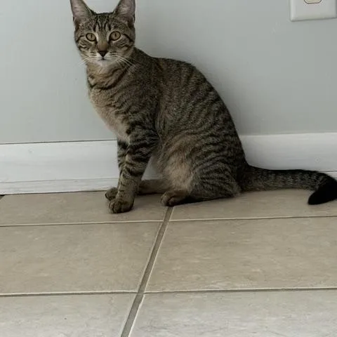 Meredith thumbnail 2