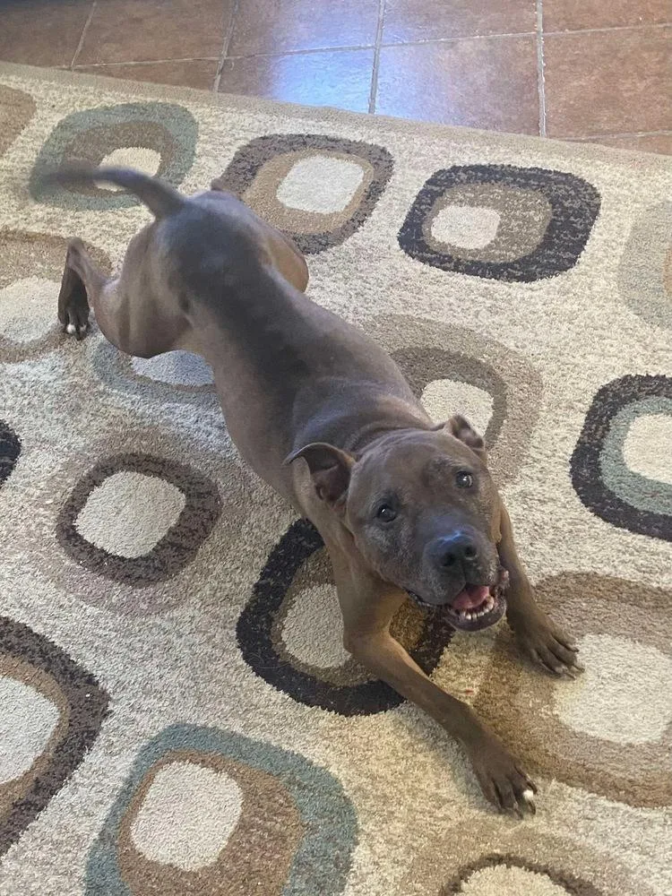 Cookie Boo thumbnail 2