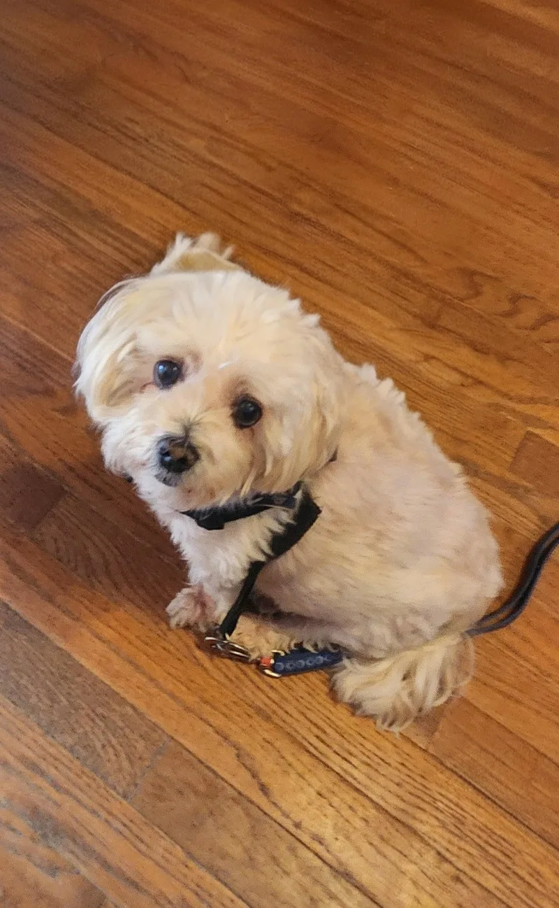 Little Bit thumbnail 3