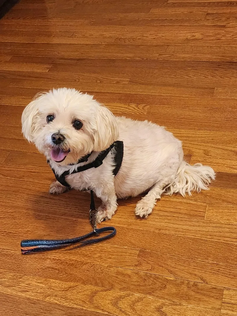 Little Bit thumbnail 4