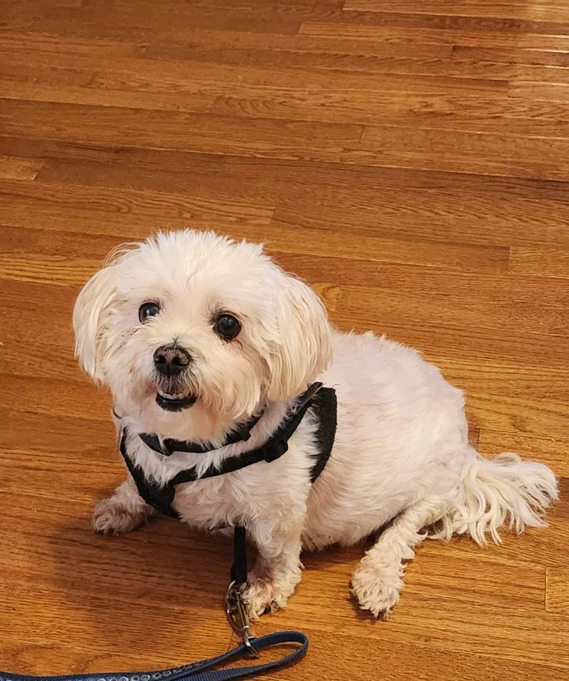 Little Bit thumbnail 5