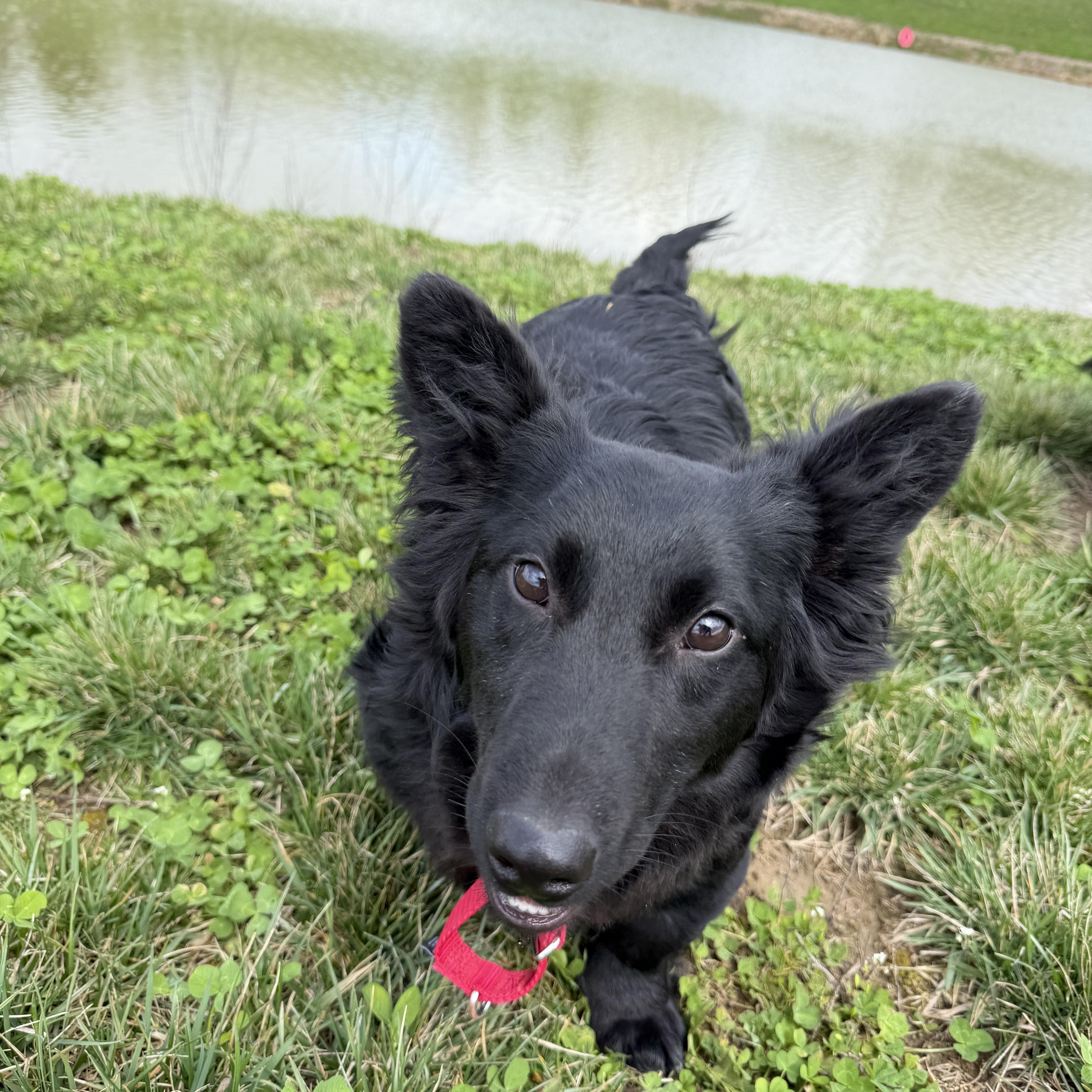 Eli And Henry thumbnail 3