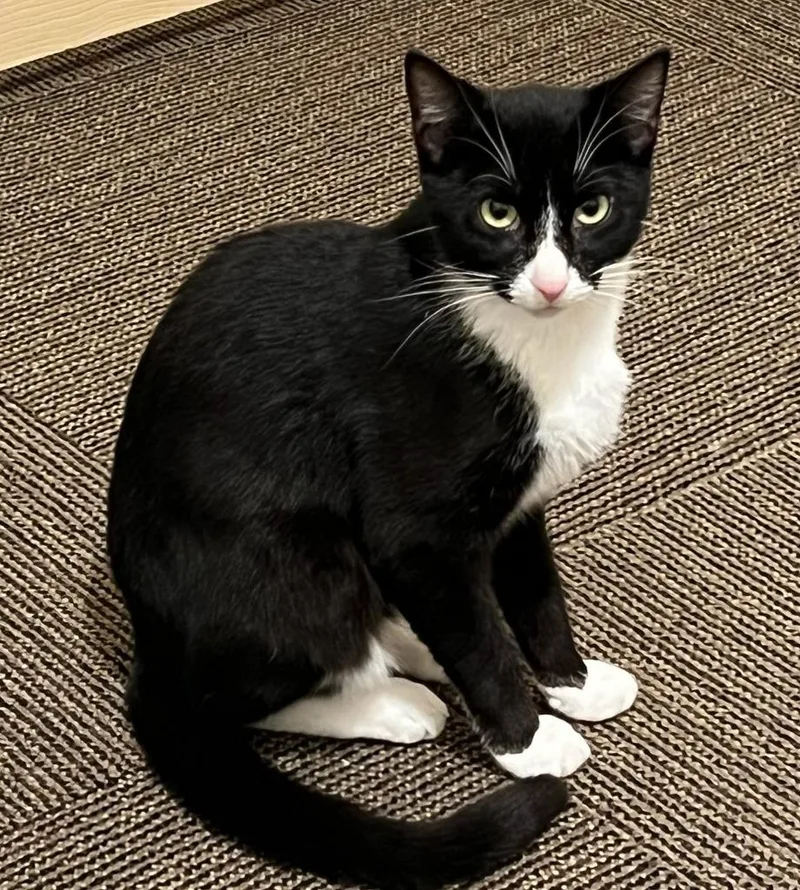 Clarnella thumbnail 5