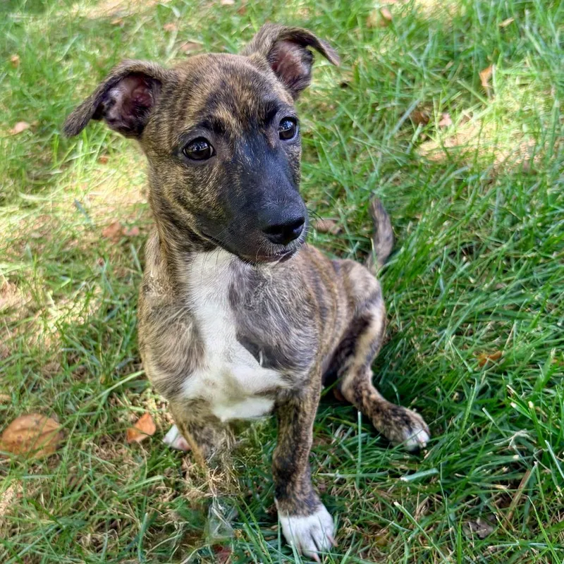 Lucky thumbnail 5