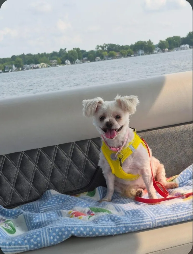 Molly thumbnail 3