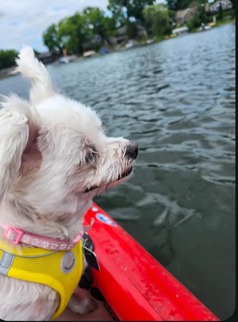 Molly thumbnail 6