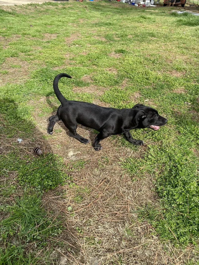 Bernadette thumbnail 2