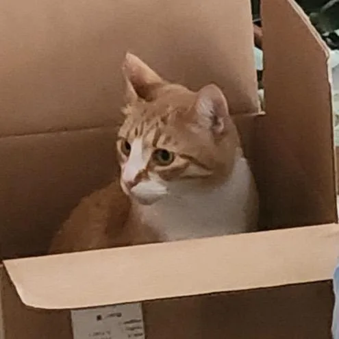 Oliver Augustus Home