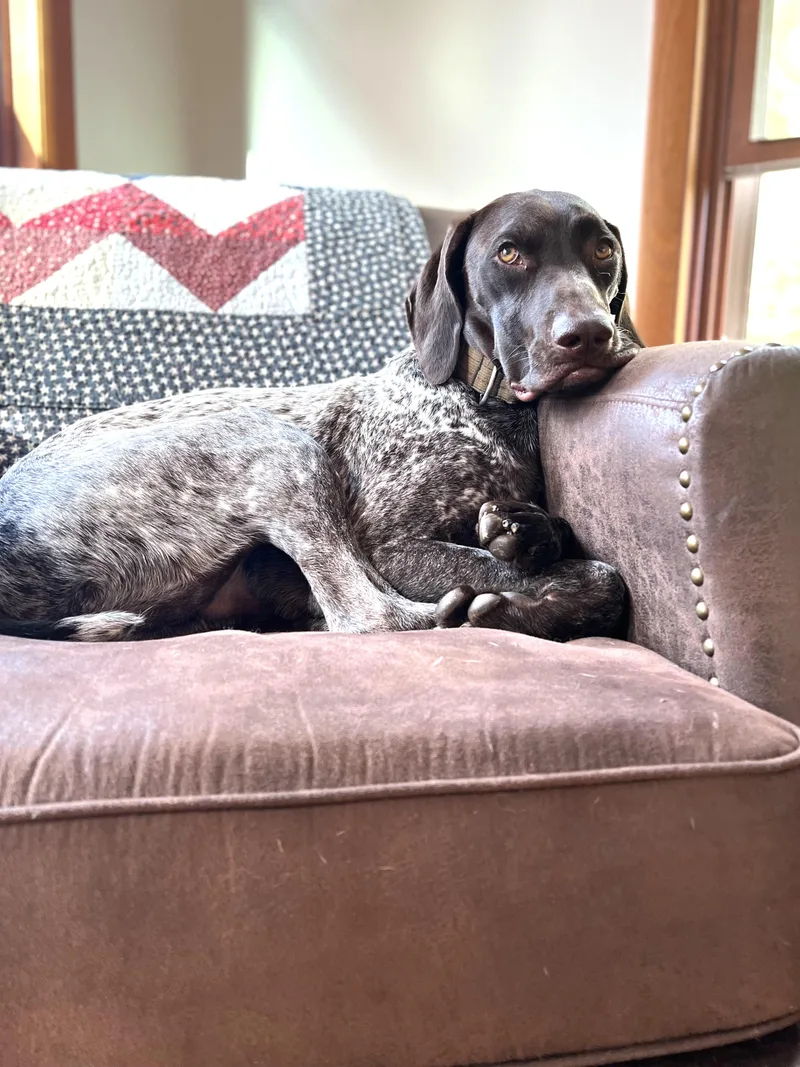 Beasley thumbnail 3