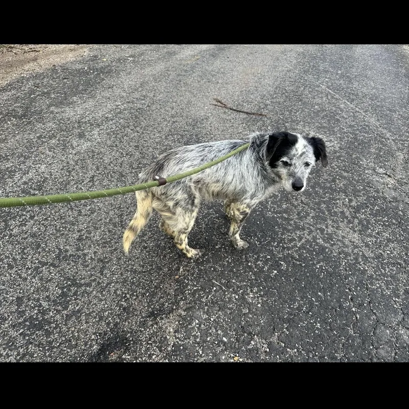 Gretchen thumbnail 2