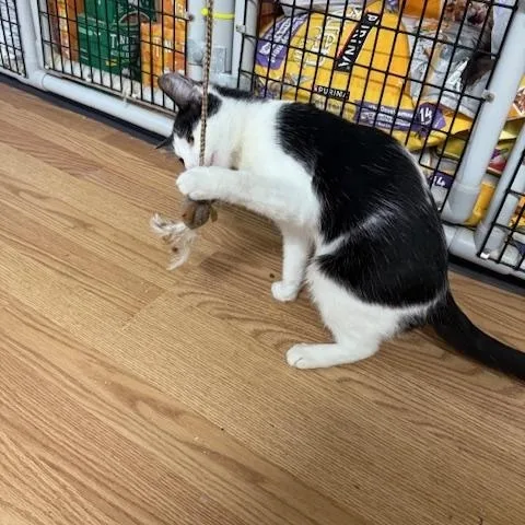 Wednesday thumbnail 3