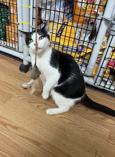 Wednesday thumbnail 4