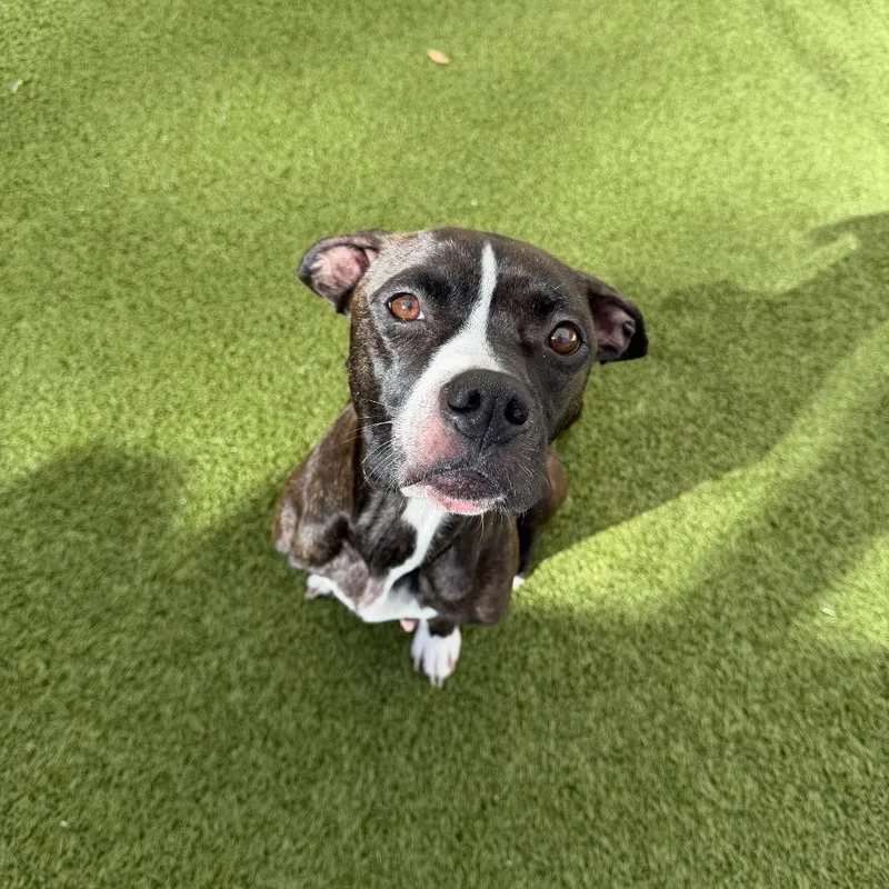 Morissette thumbnail 2