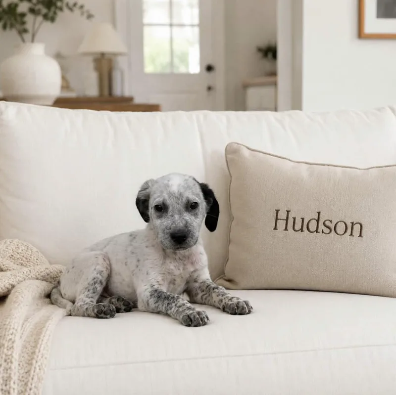 Hudson thumbnail 4