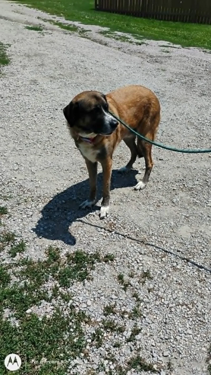 Ted