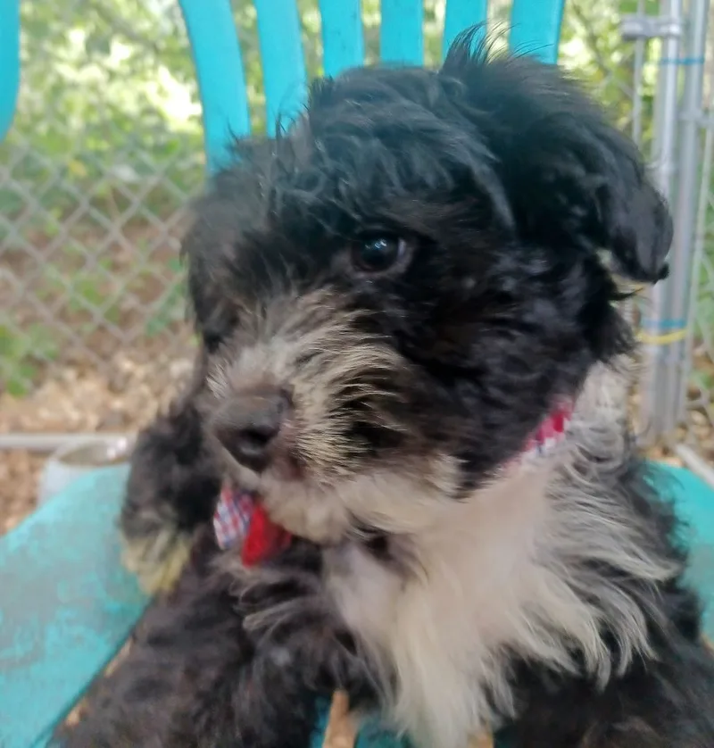 Jumpin Jax thumbnail 2