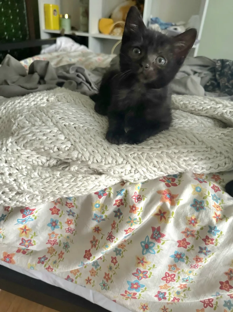 Tilly And Twooey!! Can