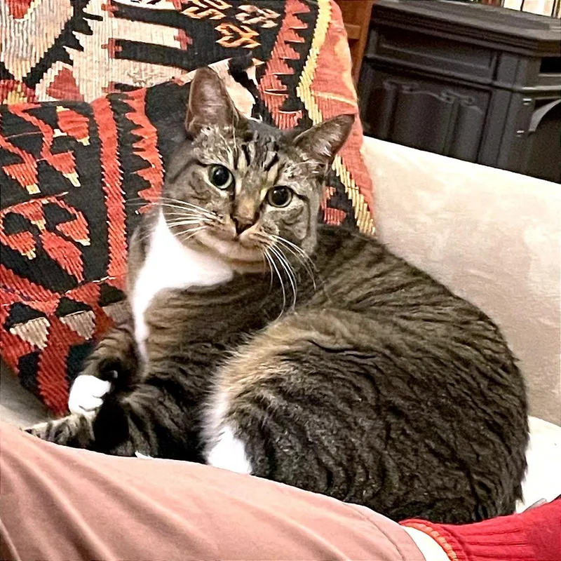Tigger thumbnail 3