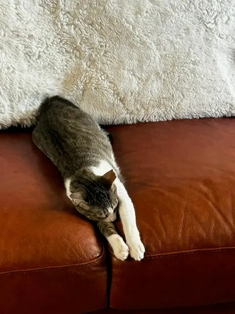 Binx And Nina  thumbnail 2