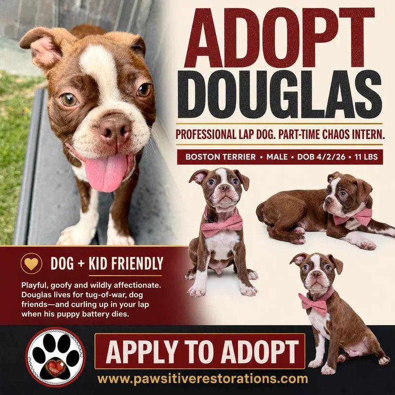Douglas thumbnail 2