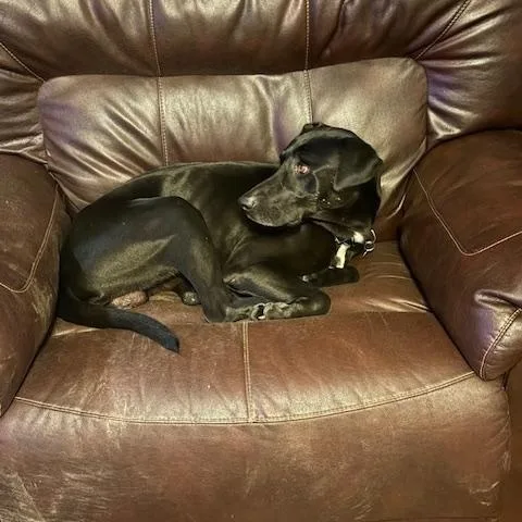 Axel