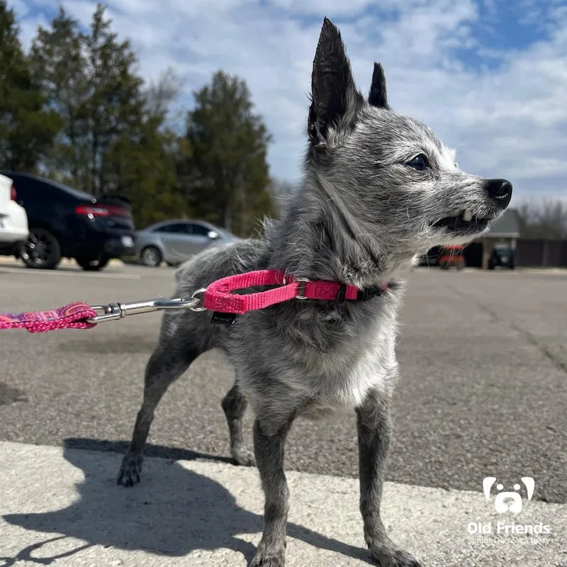 Haku And Zuri thumbnail 2