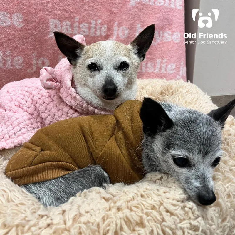 Haku And Zuri thumbnail 3