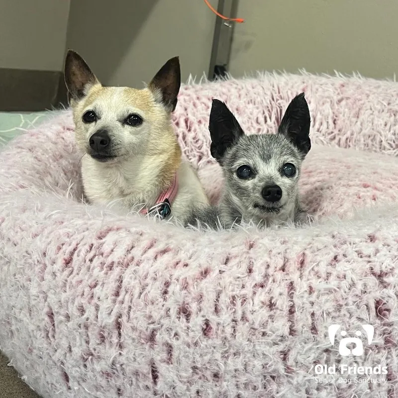 Haku And Zuri thumbnail 4