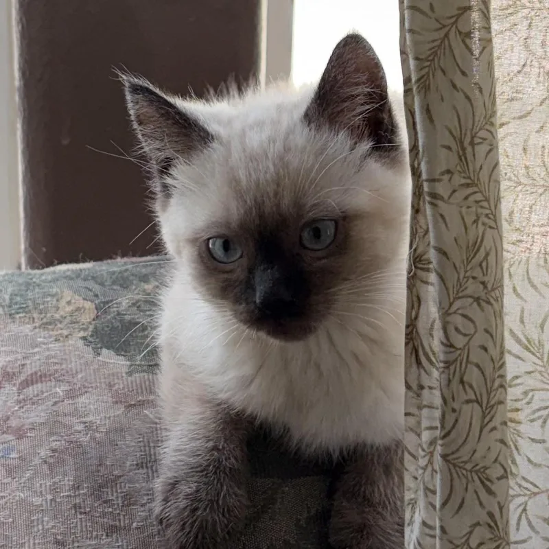 Zeus