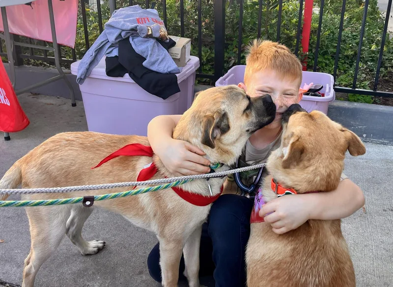 Bob & Mike thumbnail 2