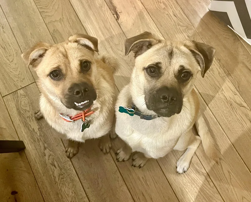 Bob & Mike thumbnail 3