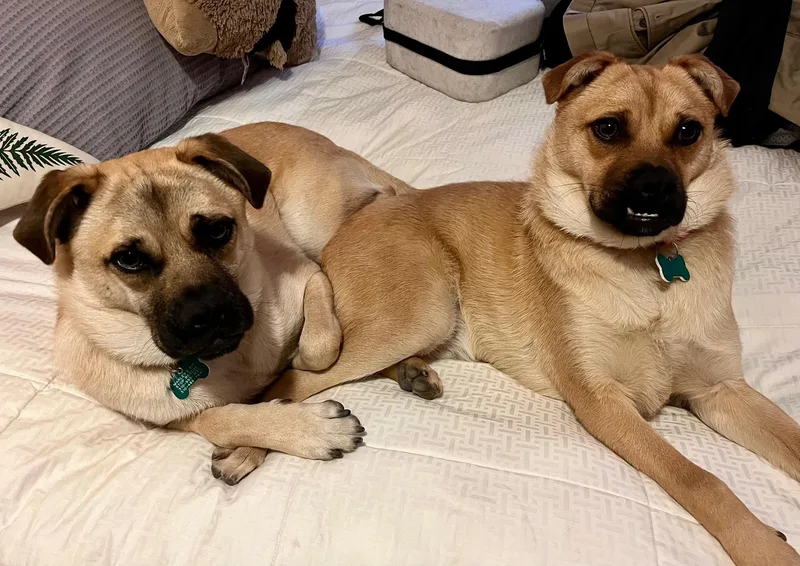 Bob & Mike thumbnail 5