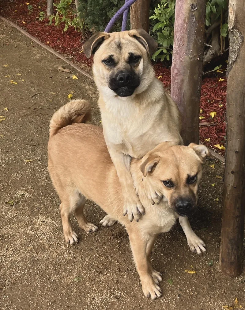 Bob & Mike thumbnail 6