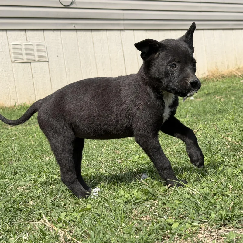 Aquarius thumbnail 2