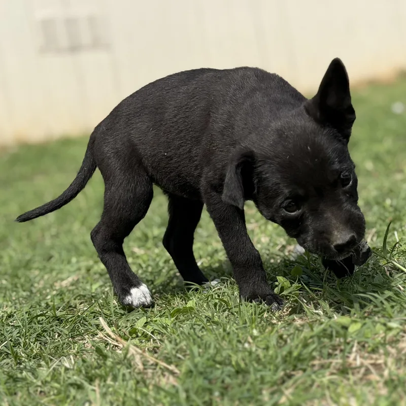 Aquarius thumbnail 3