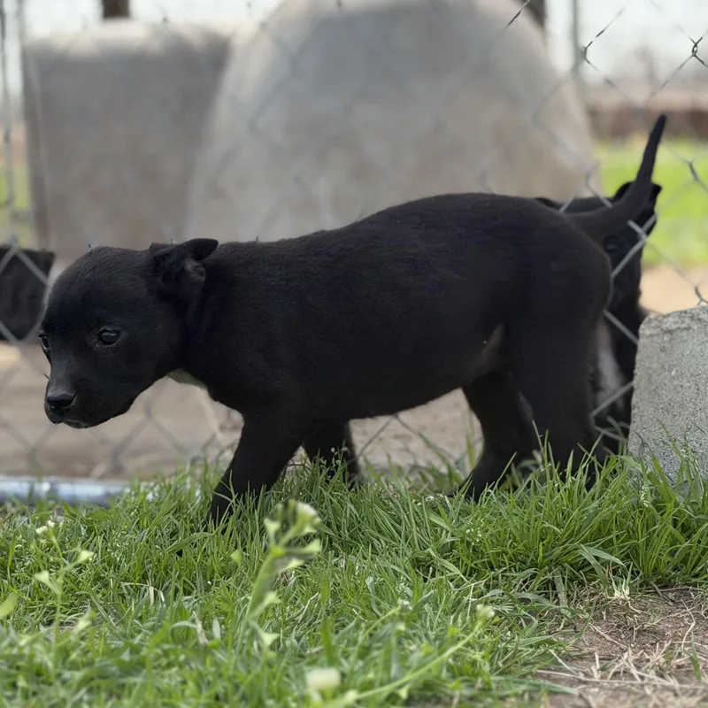 Aquarius thumbnail 4