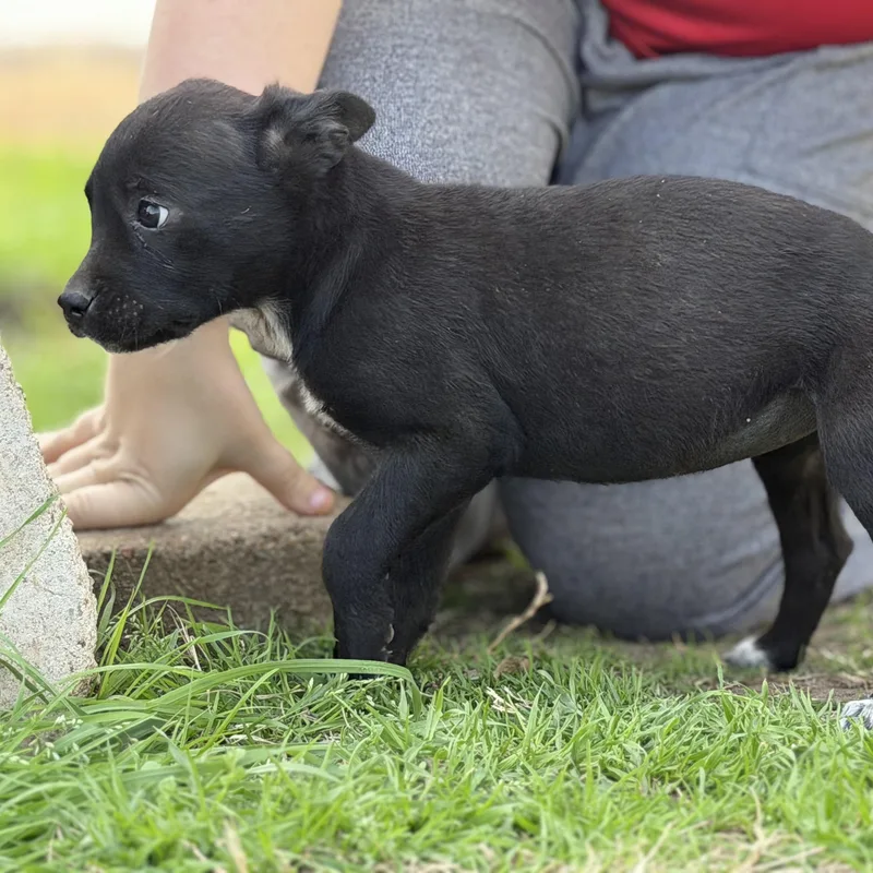 Aquarius thumbnail 5