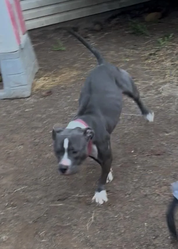 Precious thumbnail 2