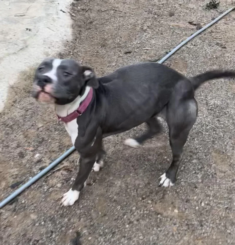 Precious thumbnail 3