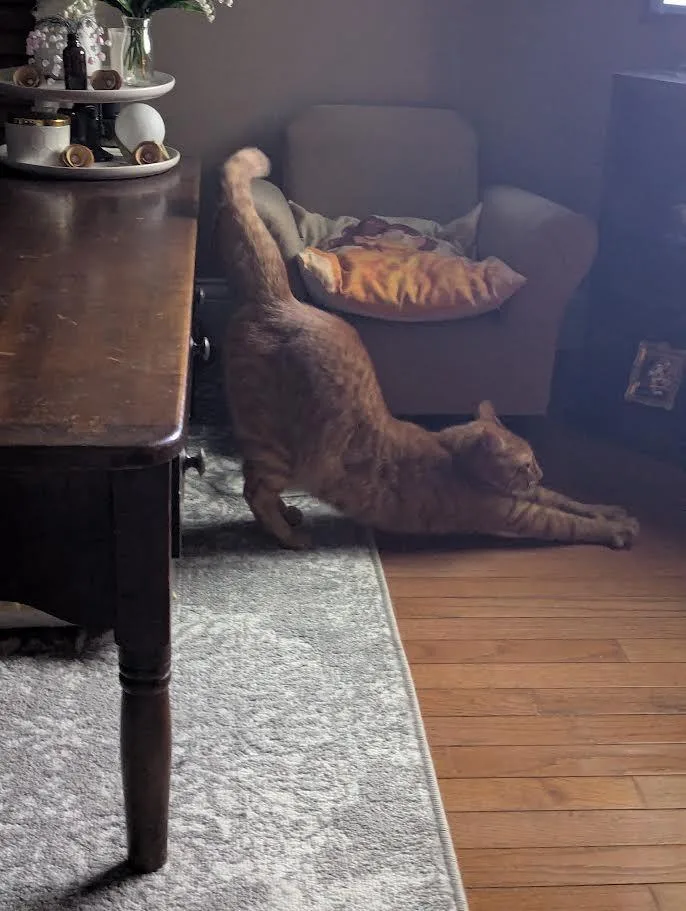 Tigger thumbnail 2