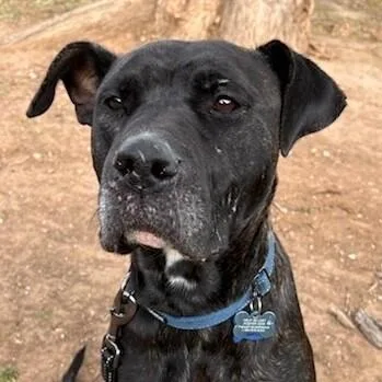 Cinderella Disney thumbnail 2