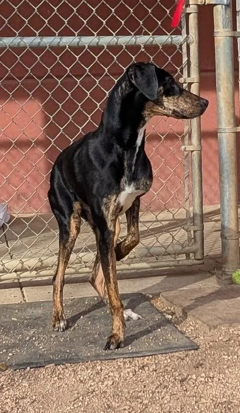 Lucilla A thumbnail 2