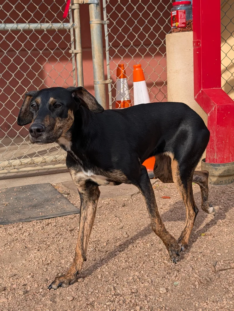 Lucilla A thumbnail 3