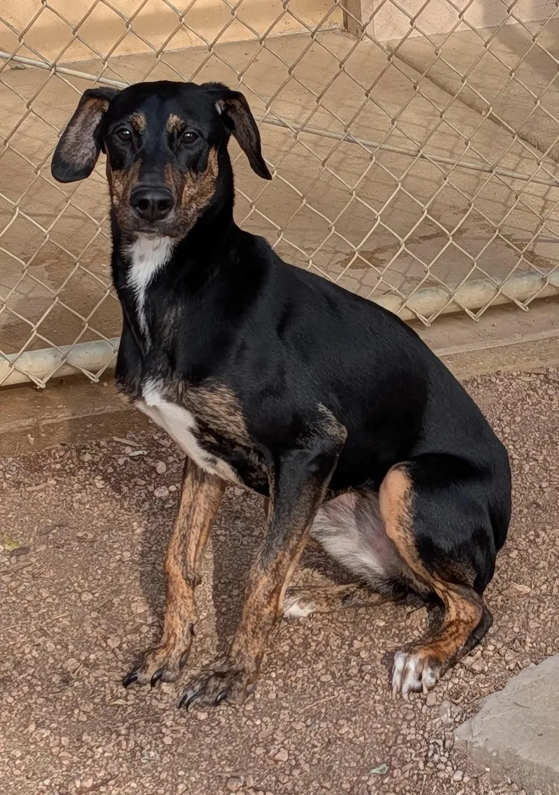 Lucilla A thumbnail 4