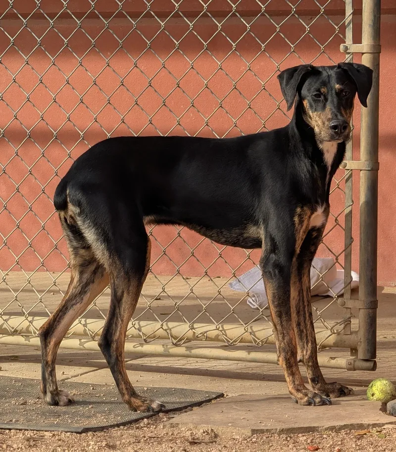 Lucilla A thumbnail 5