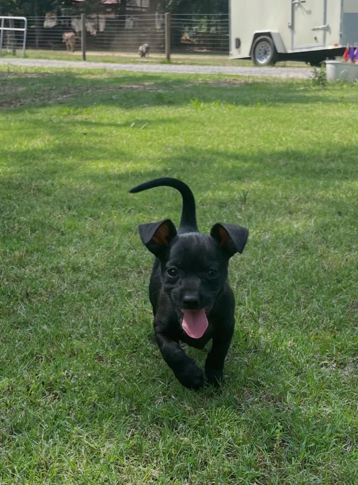 Luna