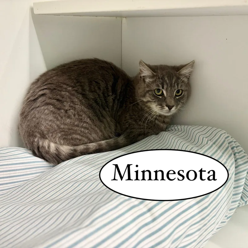 Minnesota thumbnail 2